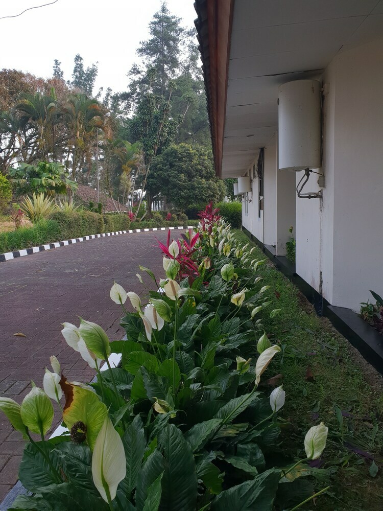 Hotel Cisarua Indah