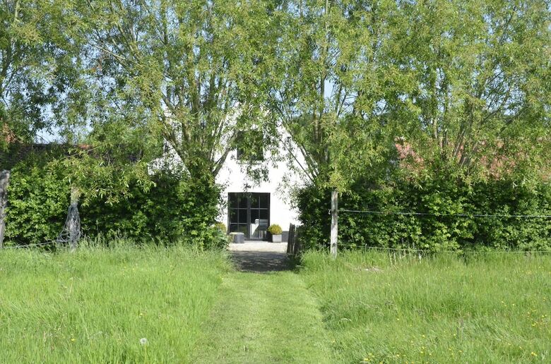 Bed & Breakfast Stee23
