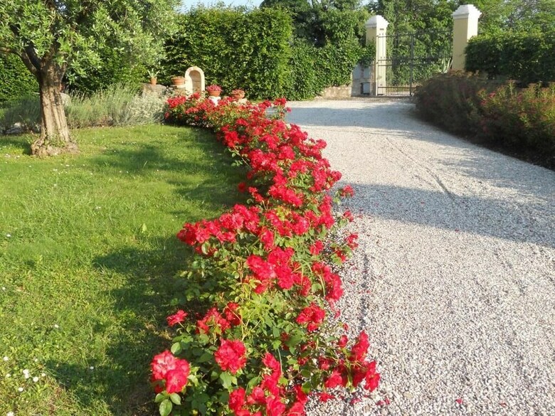 B&B Casa Pagliette