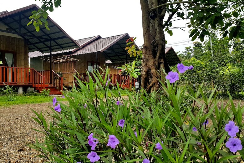 Hotel Chiang Dao Reset