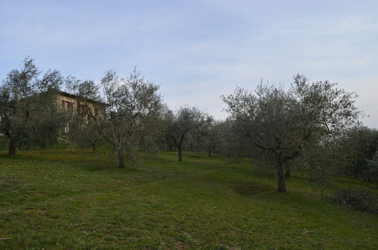 B&B Campogrande