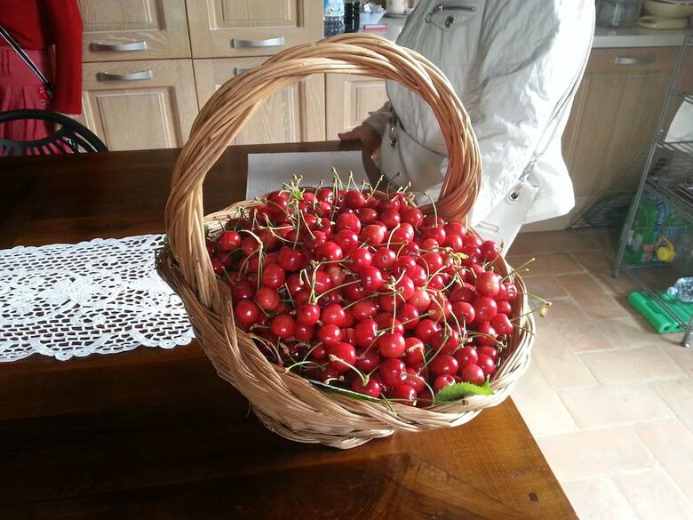 B&B Campogrande