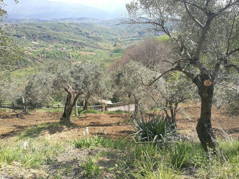 Agroturismo Home For Creativity - Coliving Calabria