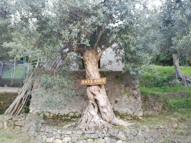 Agroturismo Home For Creativity - Coliving Calabria
