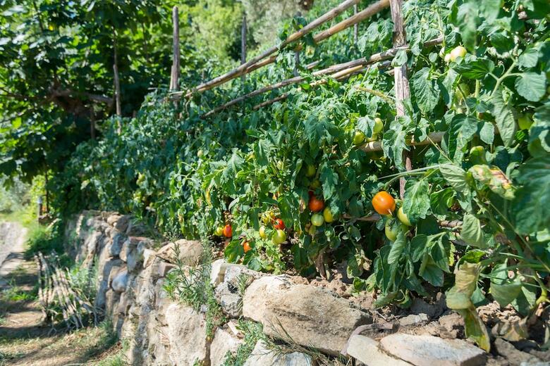 Agroturismo Home For Creativity - Coliving Calabria