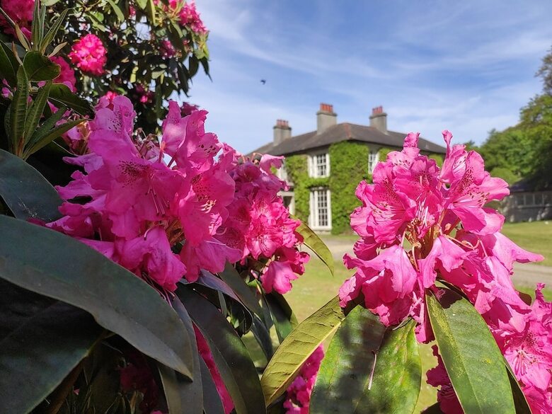 Hotel Tyrella House