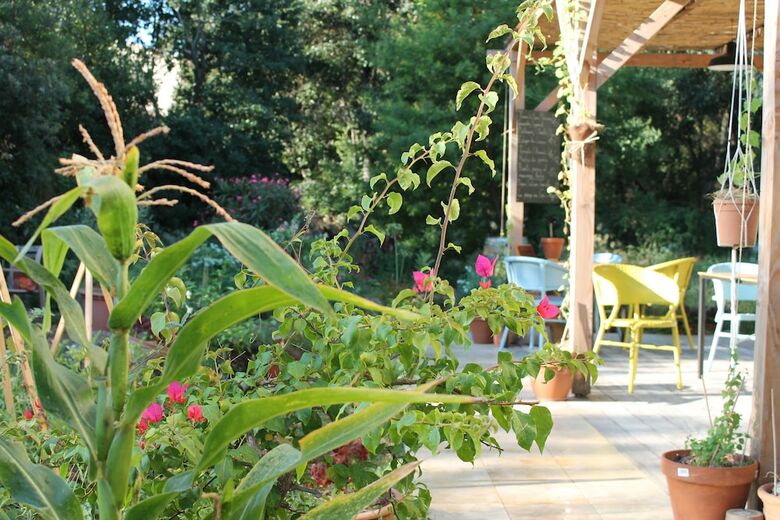 Bed & Breakfast Ginkgo