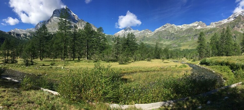 B&B Chalet Il Picchio