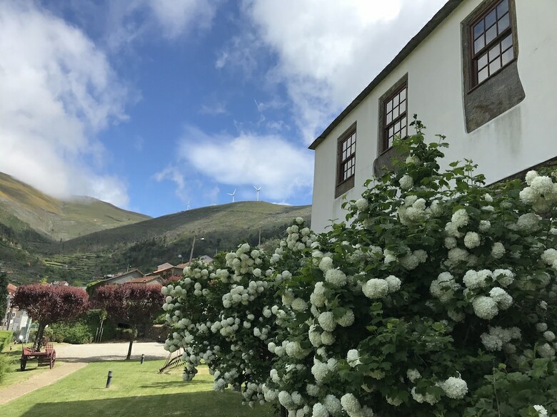 Bed & Breakfast Casa Do Monte