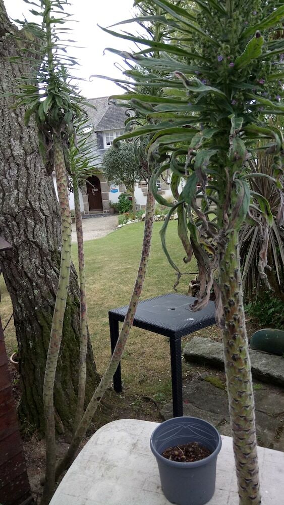 Bed & Breakfast Les Roses