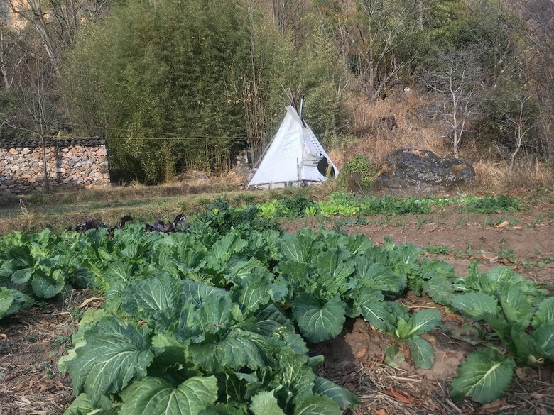 Hotel Wei-island Farm&art Guesthouse