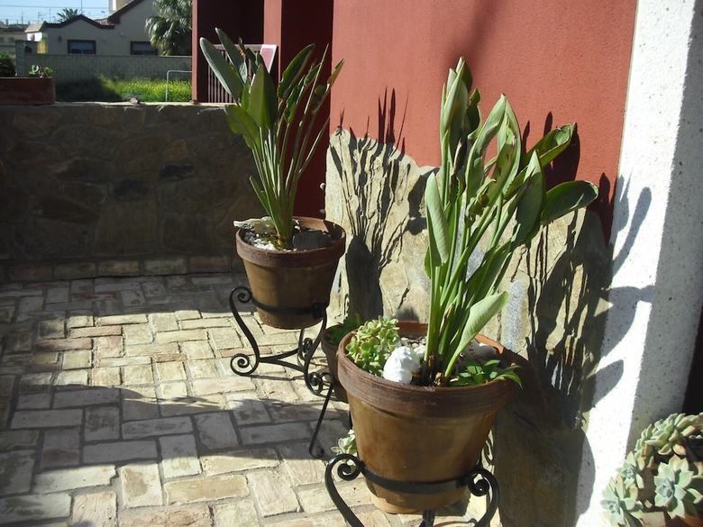 Hotel La Posada De Menchu