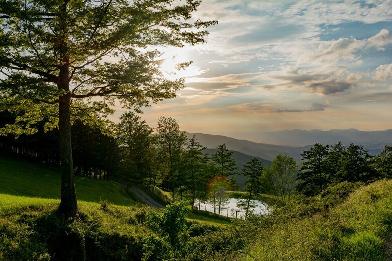 Agroturismo Agriturismo Casa Passerini A Firenze