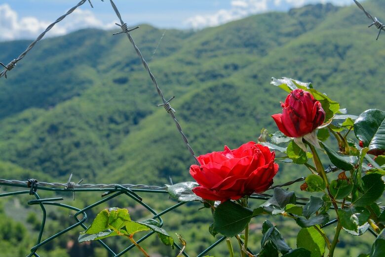 Agroturismo Agriturismo Casa Passerini A Firenze