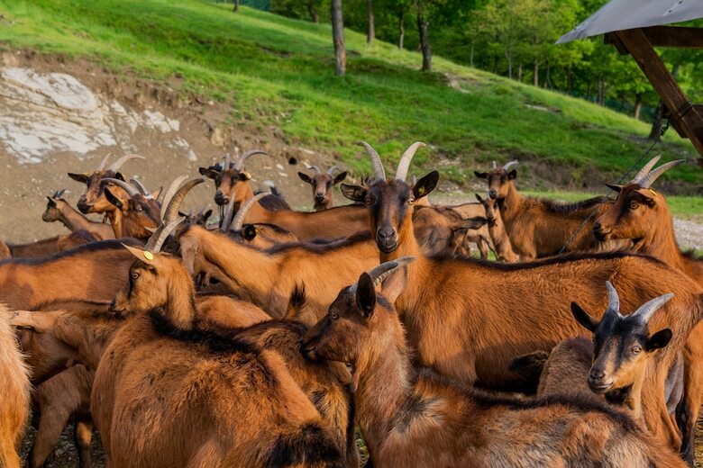 Agroturismo Agriturismo Casa Passerini A Firenze