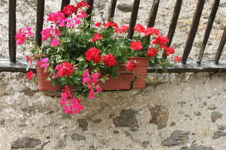Bed & Breakfast Le Mas Bertrand