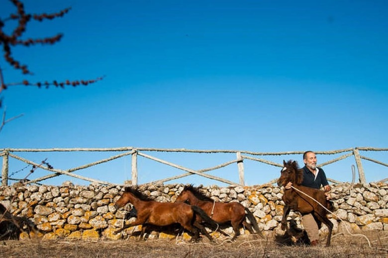 Agroturismo Agriturismo Cuaddus E Tellas