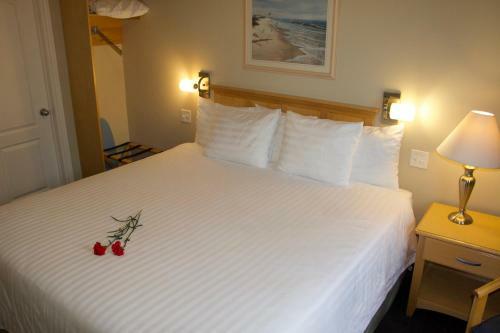 Posada Rum Runner Inn