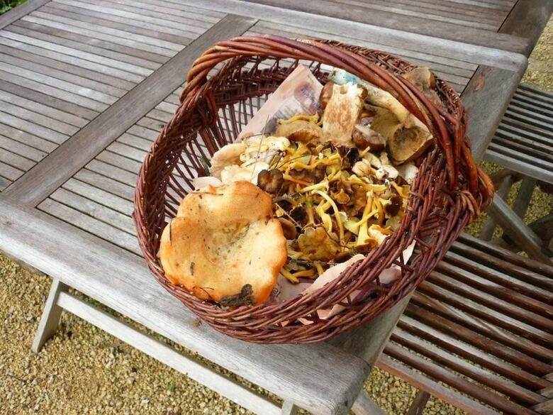 Bed & Breakfast Bechanou