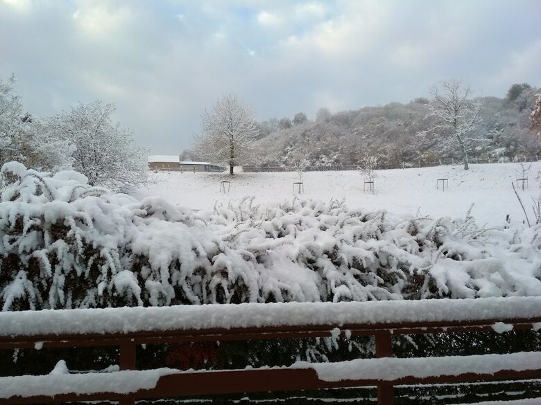 Bed & Breakfast Chambres D'h�tes Chalet La Bachole