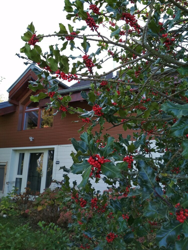Bed & Breakfast Chambres D'h�tes Chalet La Bachole