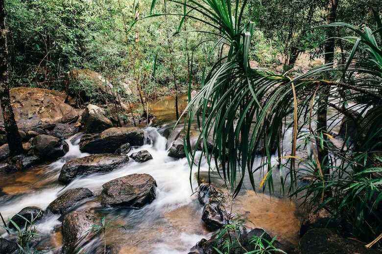 Hotel Bensley Collection - Shinta Mani Wild - All Inclusive