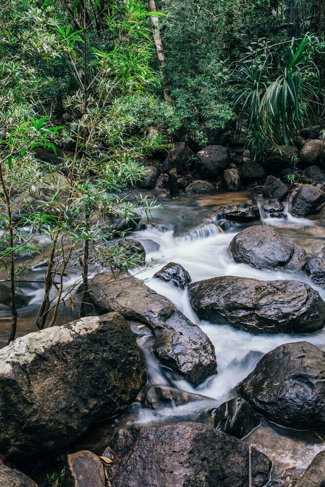 Hotel Bensley Collection - Shinta Mani Wild - All Inclusive