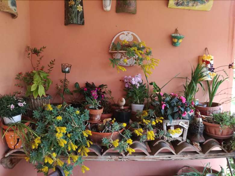 Bed & Breakfast Villa Il Noce