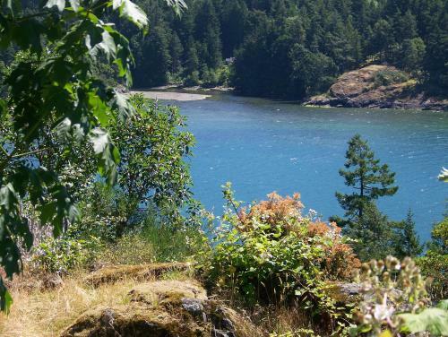 Moonlit Cove B&B