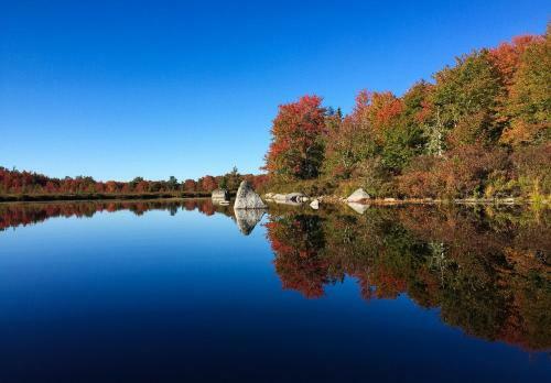 Hotel Trout Point Lodge Of Nova Scotia