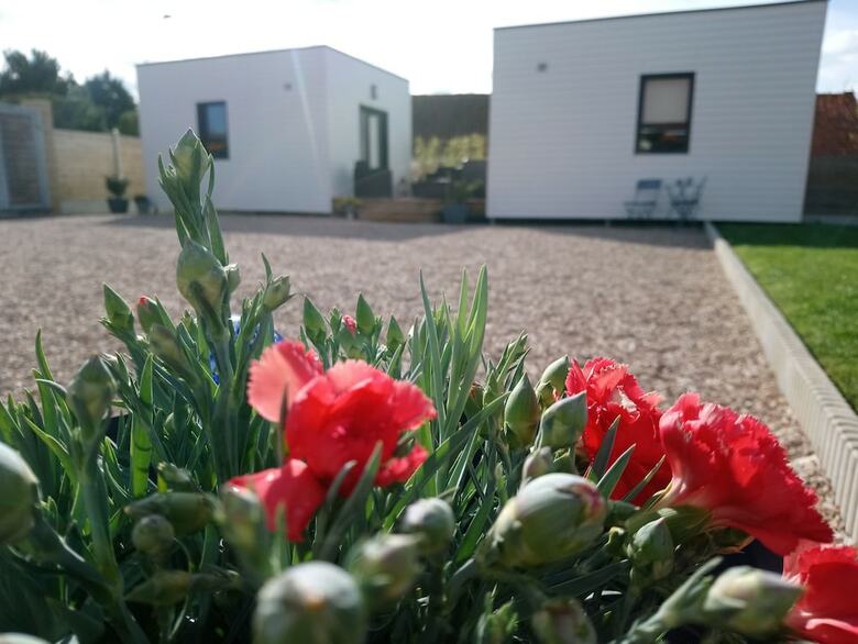 Bed & Breakfast Chambres D'h�tes Au Cap Norwo�