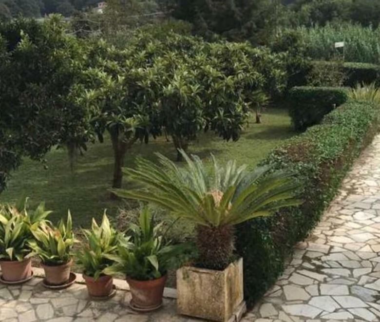 Bed & Breakfast Villa Meravigliosa
