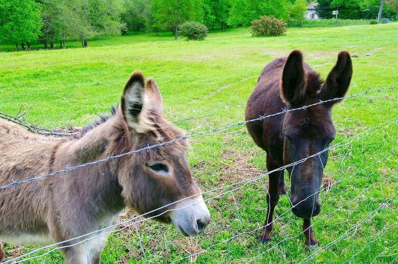 Ecologites Les Sureaux