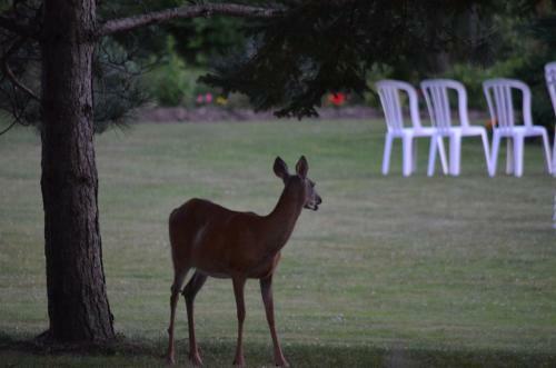 Briarwood Bed & Breakfast