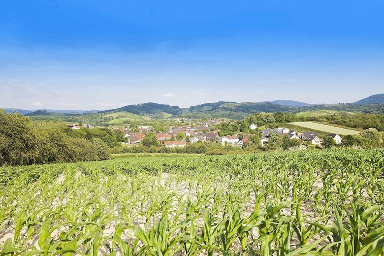 Posada Gasthof Engel
