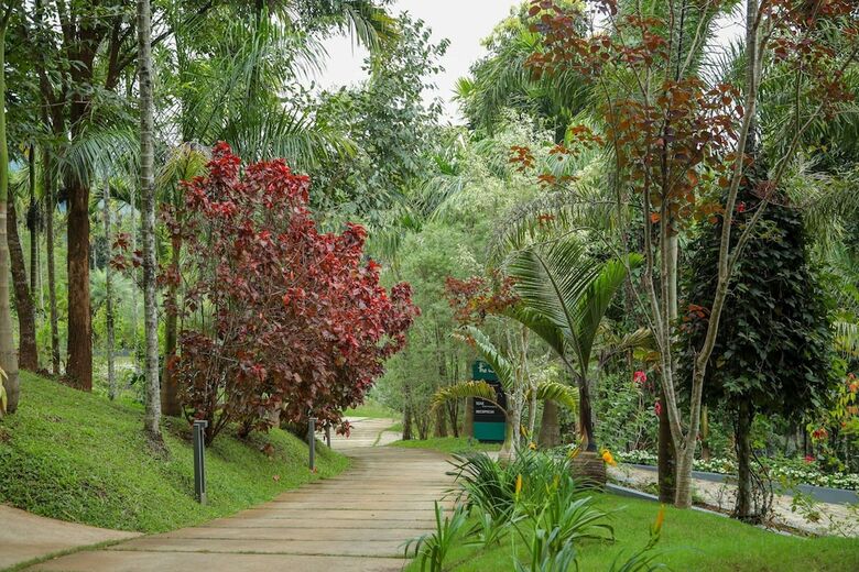 Hotel The Woods Resorts Wayanad