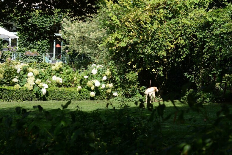 Bed & Breakfast La Roseraie