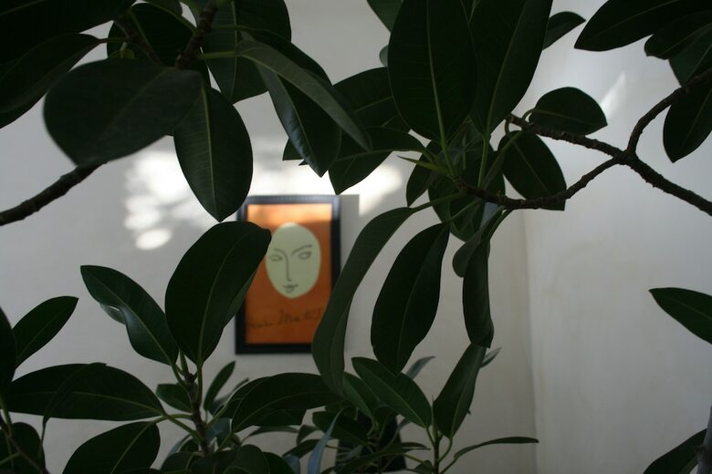 Bed & Breakfast La Cour Rose