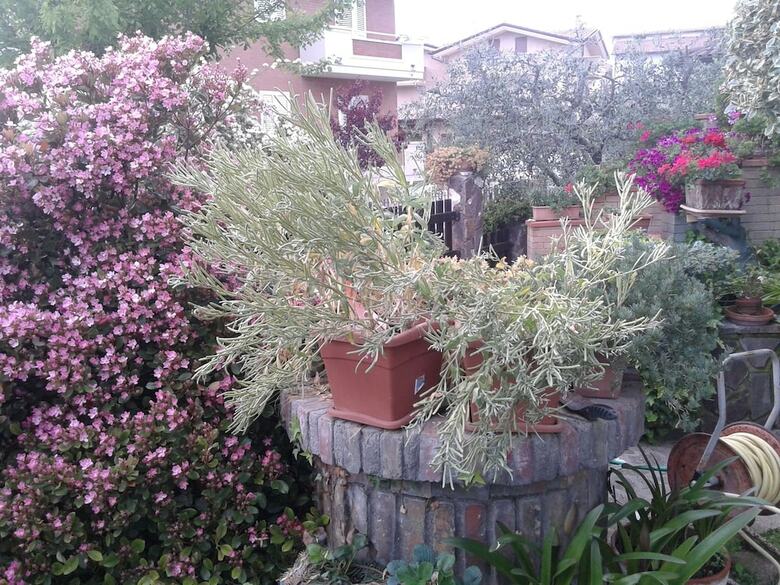 Bed And Breakfast Europe