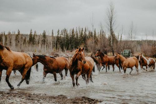 Big Creek Lodge