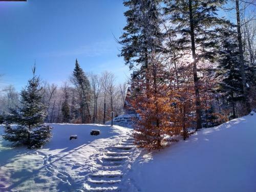 Chalet F16 Mont-tremblant Nord