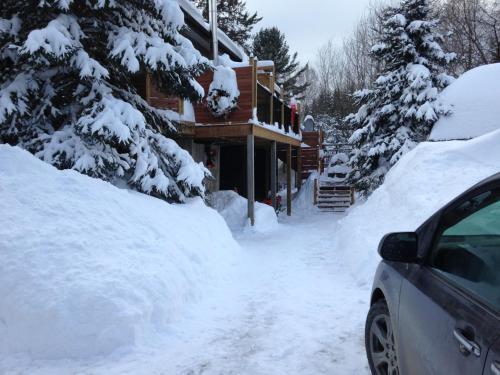 Chalets Et Studios Le Vent Du Nord