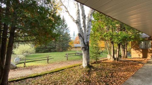 Chalets Et Studios Le Vent Du Nord