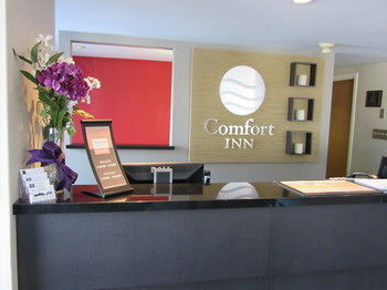 Motel Comfort Inn Cobourg