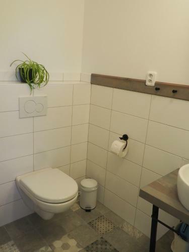 Apartamento U V�clava