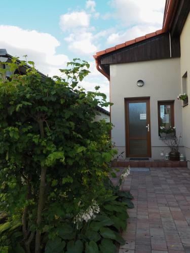Apartamento U V�clava