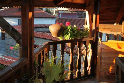 Hostal Dedo Pene Inn