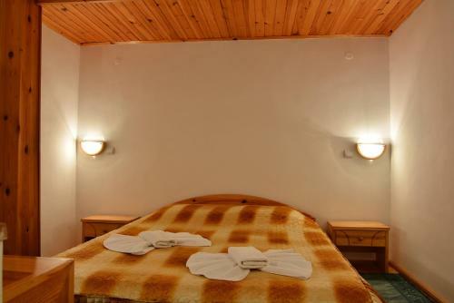 Hotel Vihren