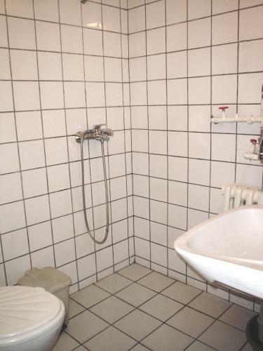 Family Hotel Bisser
