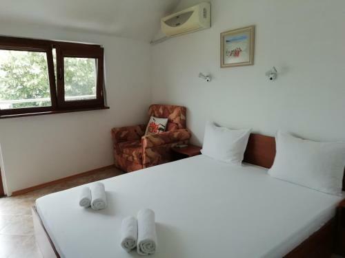 Hostal Guest House Mistral